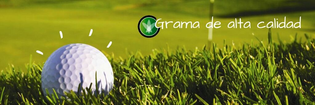 GCultivadas's profile banner image