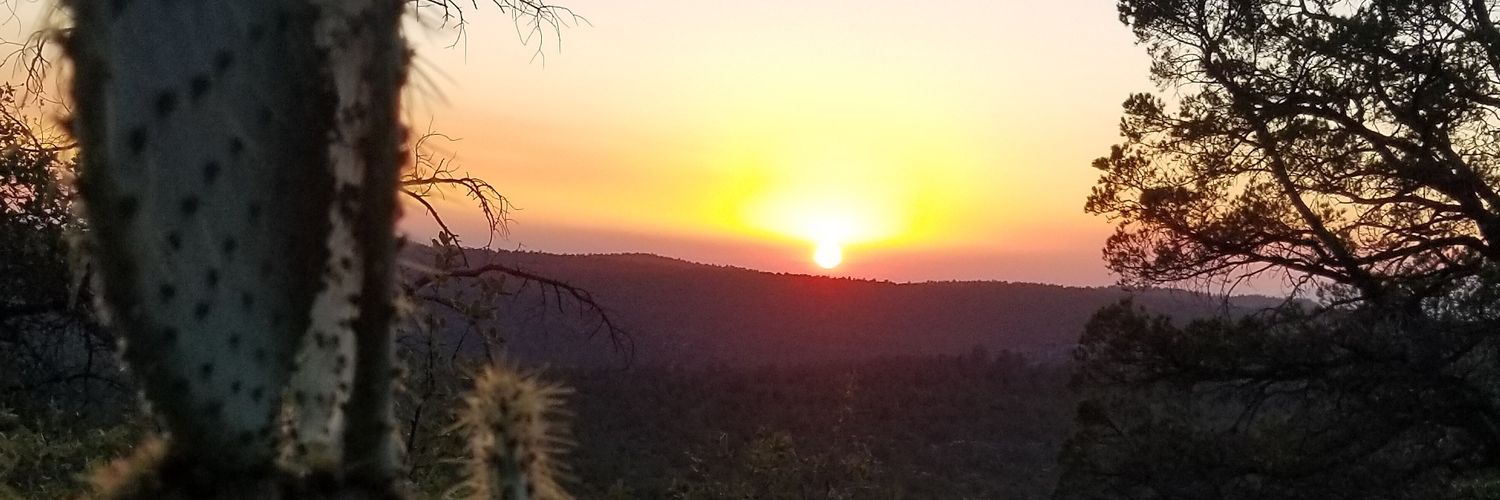 Hannah_08's profile banner image