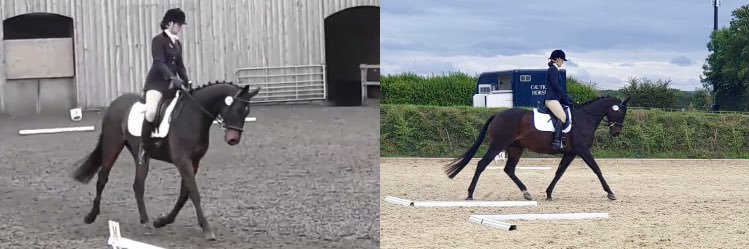 Charlotte Morrison banner