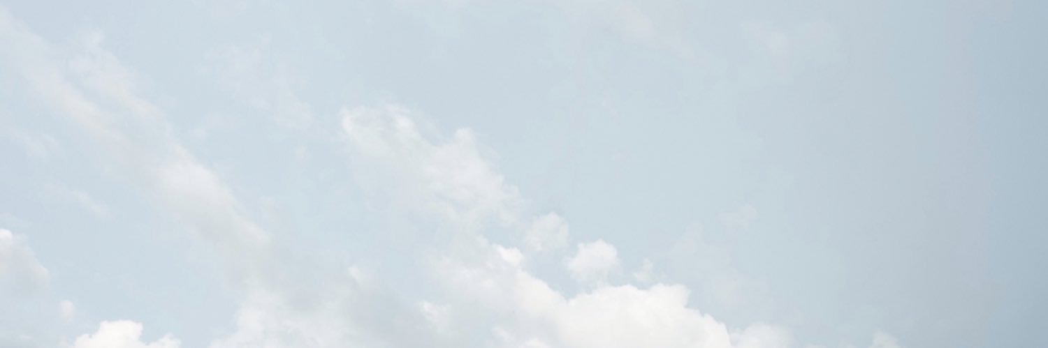kristi's banner