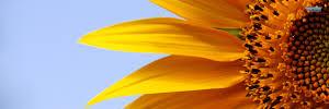 jodiluv75's profile banner image