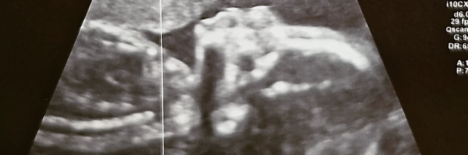 MissTanEdin's profile banner image