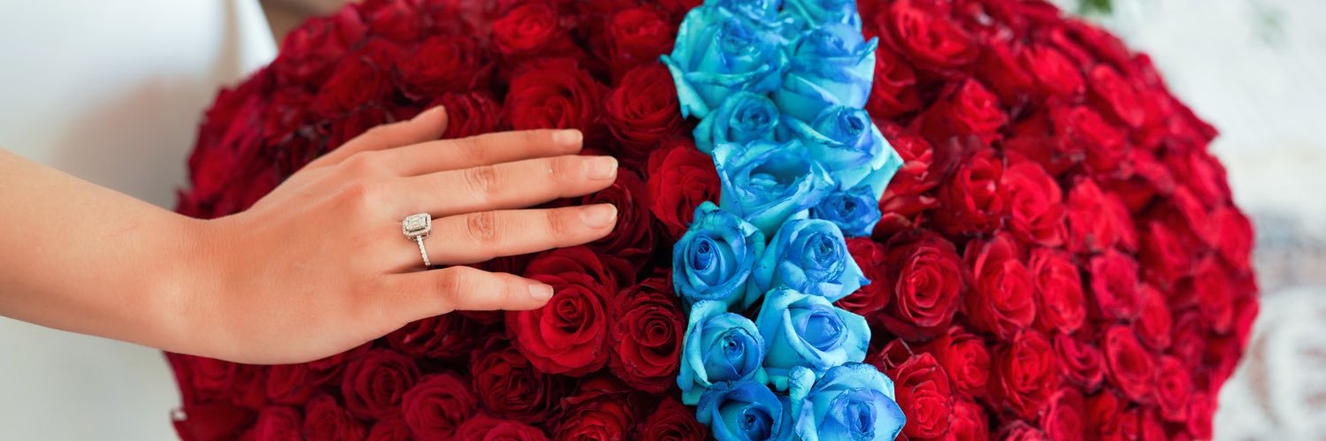 birhillal's profile banner image
