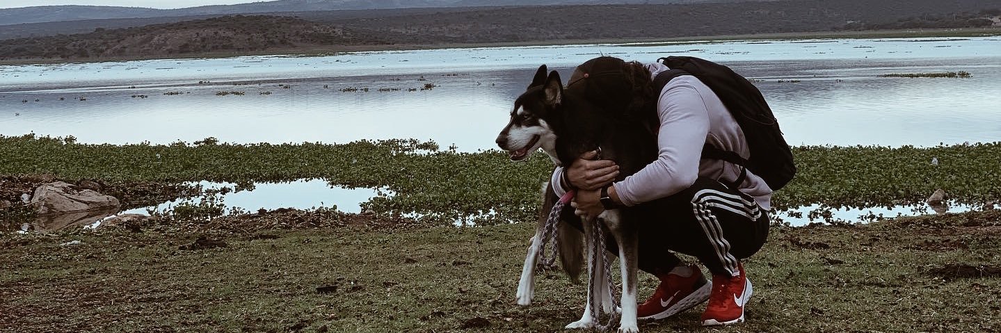 RodrigoPM95's profile banner image