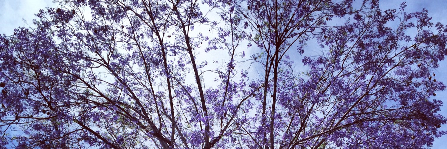 Chrissy Olsen banner