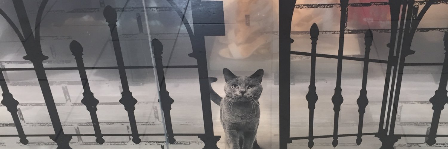 mellx's profile banner image
