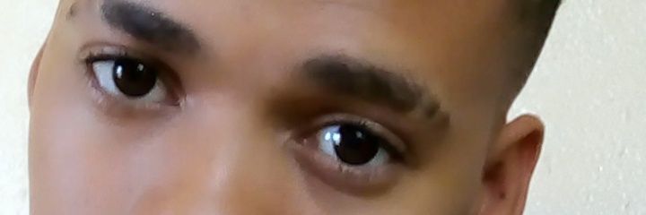 Dashing President banner