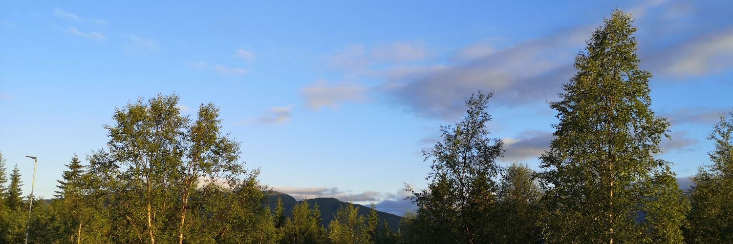 geirwd's profile banner image