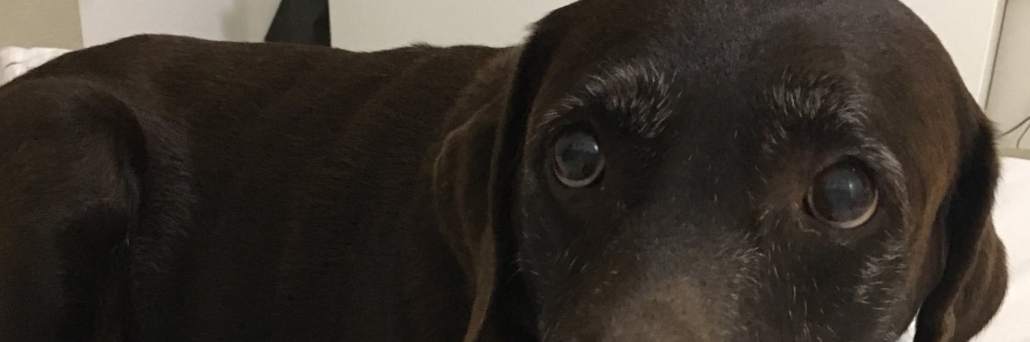becarbueno's profile banner image