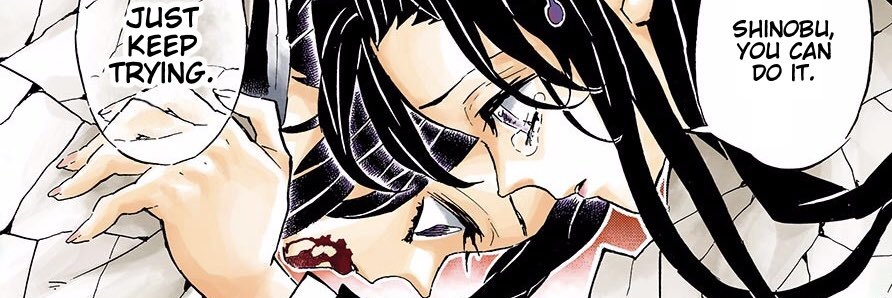 YJ419530's profile banner image