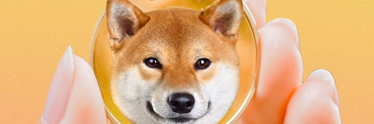shibtokenindia's profile banner image