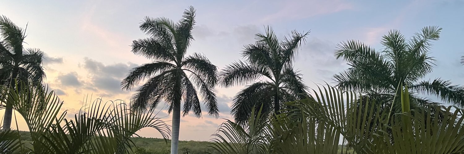 WinansLogan's profile banner image