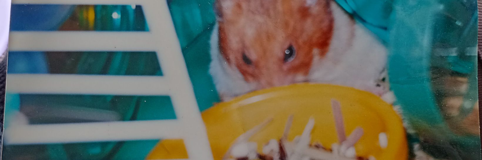 mdjfbd000's profile banner image