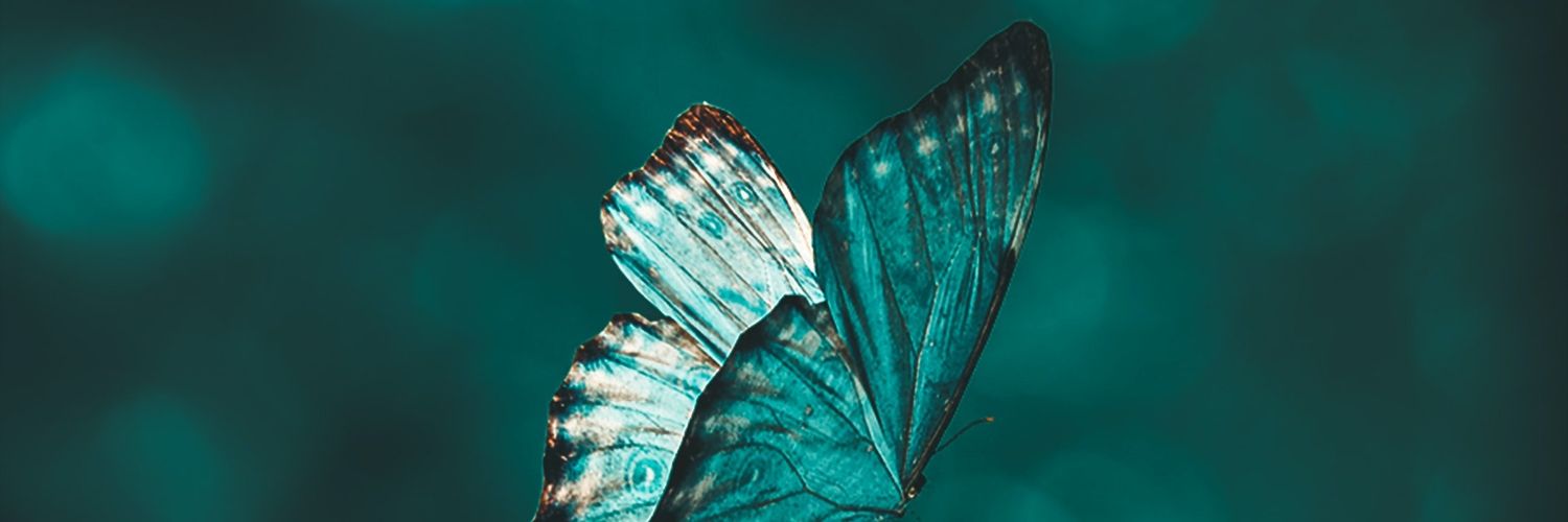 notyourles's profile banner image