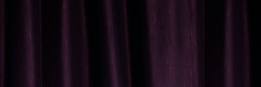 Lyth𑁍ࠬ || ❄️🐟🍎 banner