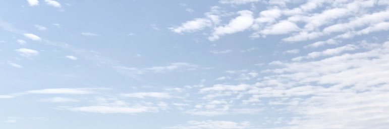 ogitter0406's profile banner image