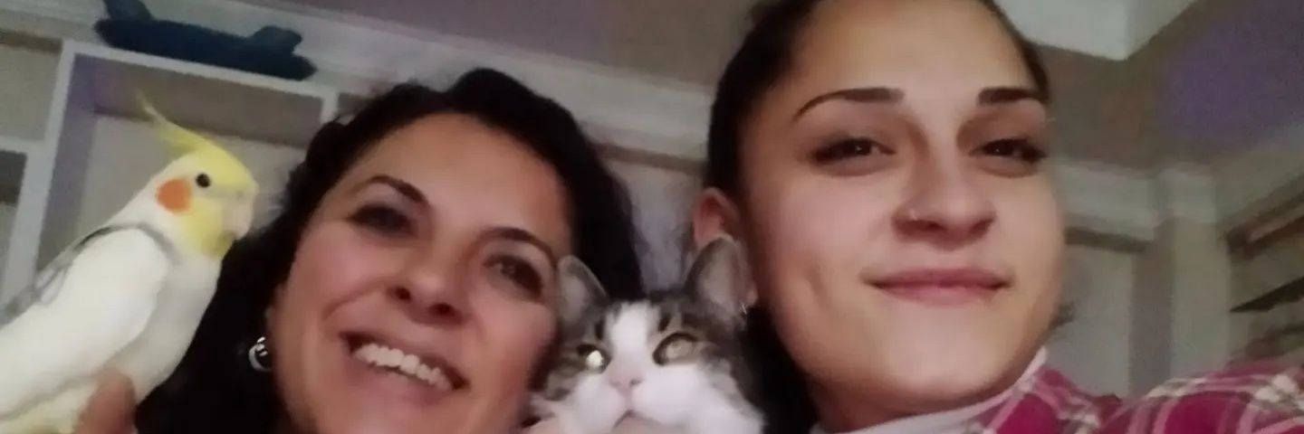 ebruli260's profile banner image