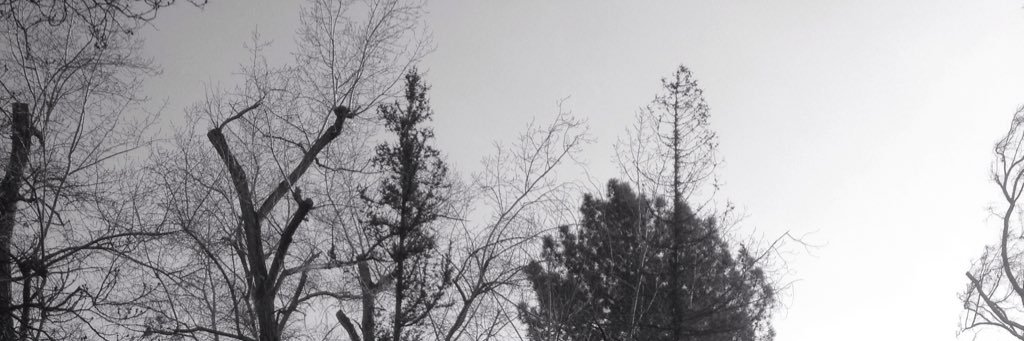 Angelo Gabriel banner