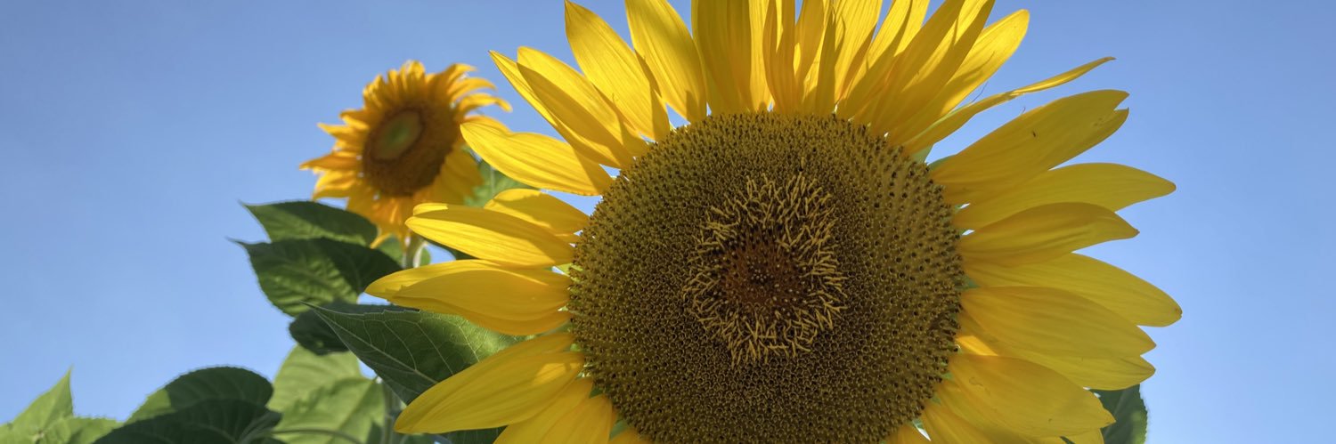 PascoExt's profile banner image