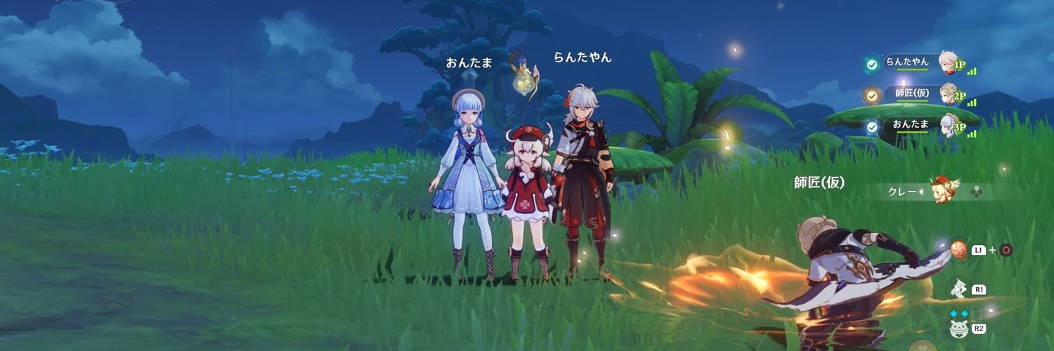 poyoEvolution's profile banner image