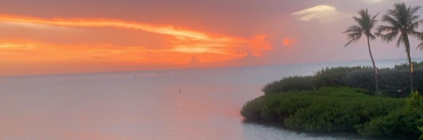 Griffinc7_'s profile banner image