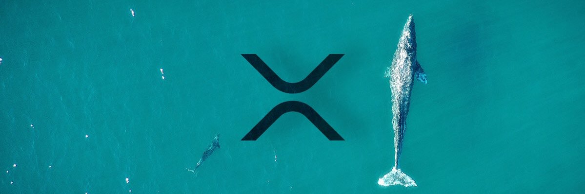 Jordanfan11234's profile banner image