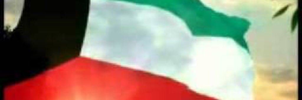 MLahanalfaud's profile banner image