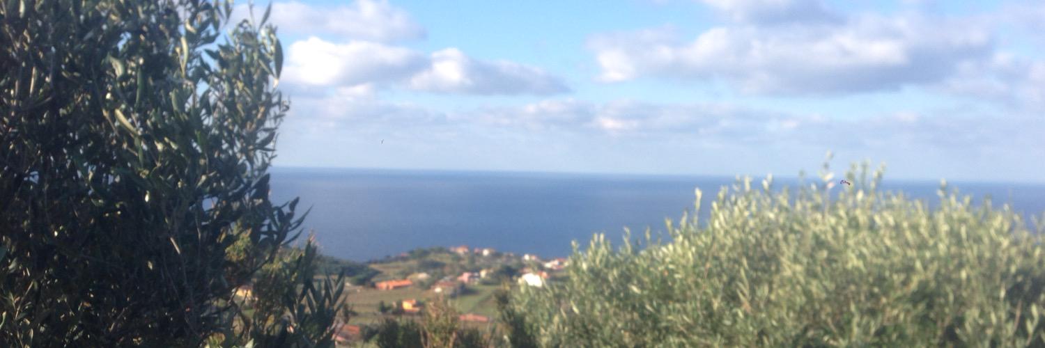 umbertobada's profile banner image