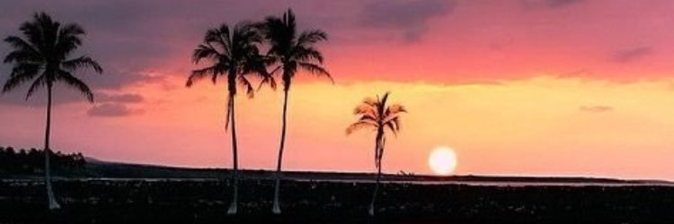 jess_p04's profile banner image
