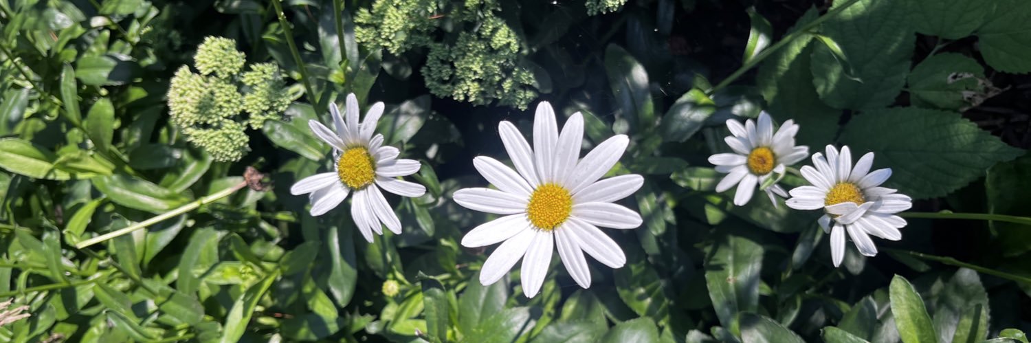 KoldJass's profile banner image