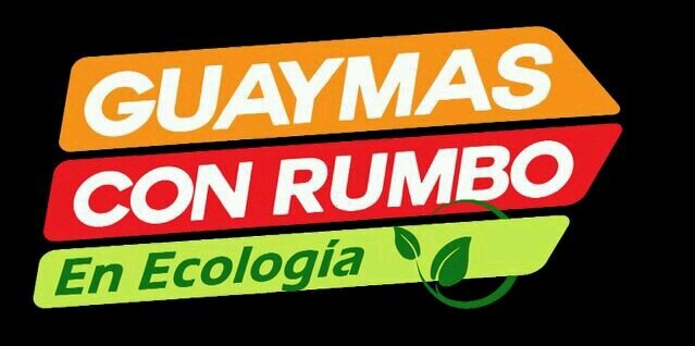 Dir_Ecologia's profile banner image