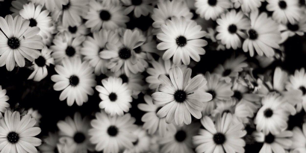 OSIS Smapan Team banner