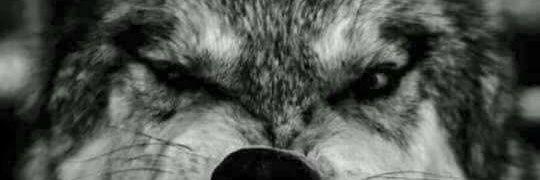 freshxflow's profile banner image