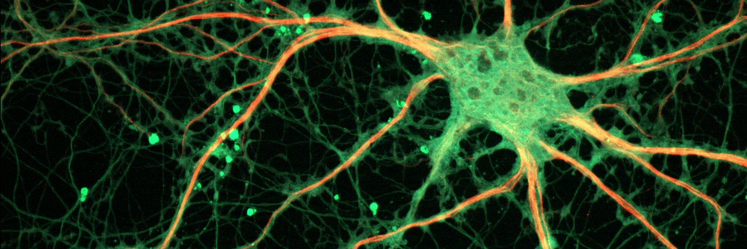 Eric W. Dolan banner