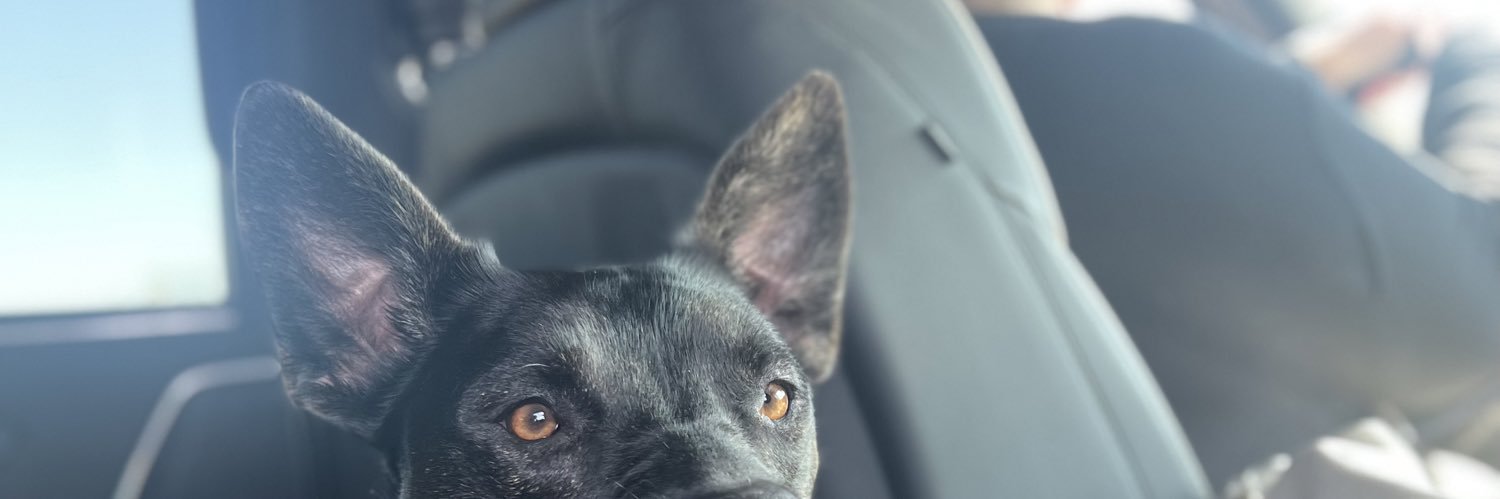 baely0's profile banner image