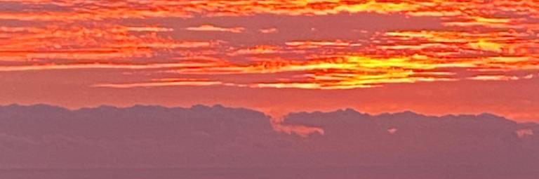 Catherine Powell banner