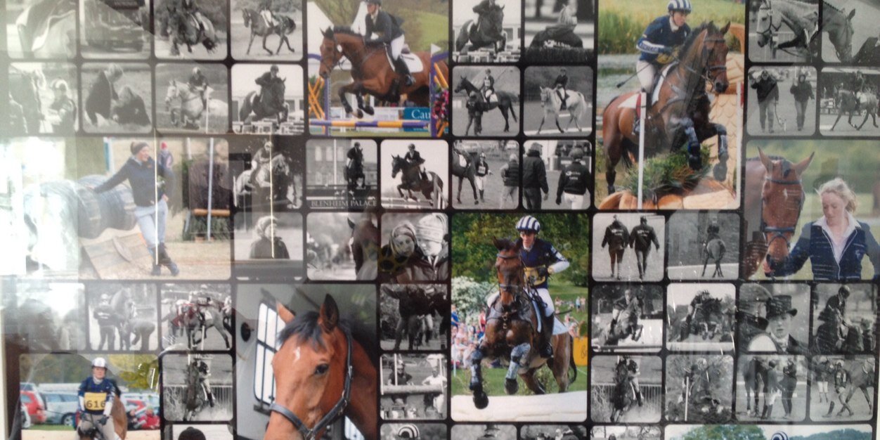 imogen murray banner