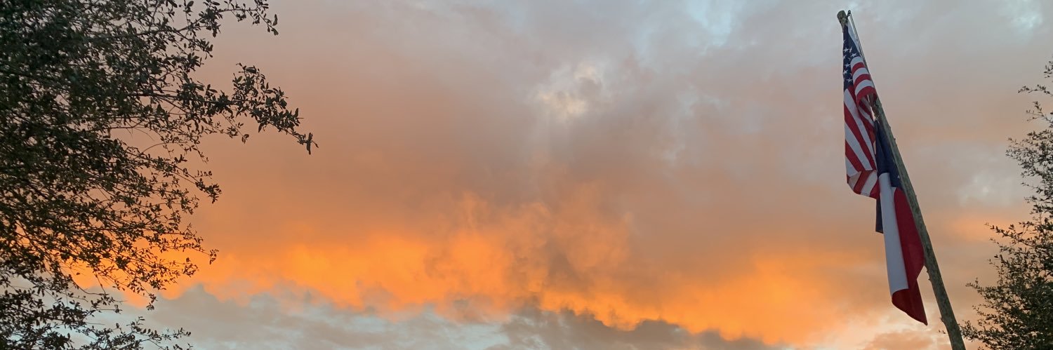 gingermoviestar's profile banner image