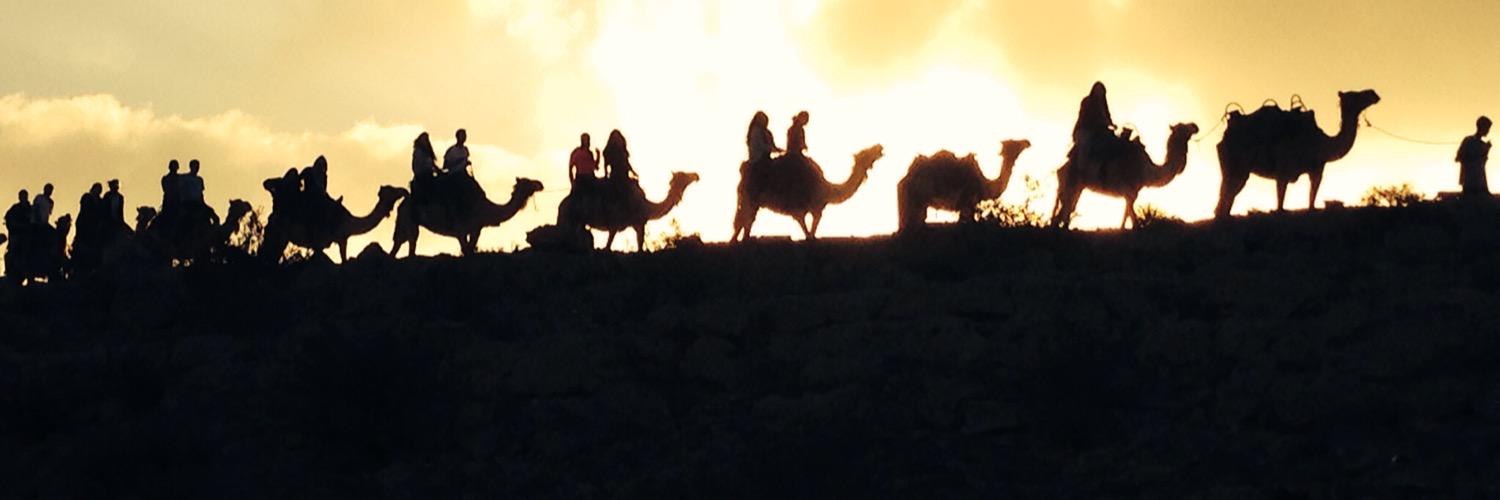 THEBrianShap's profile banner image