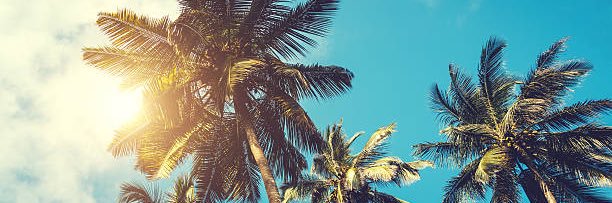 Clint Robinson banner