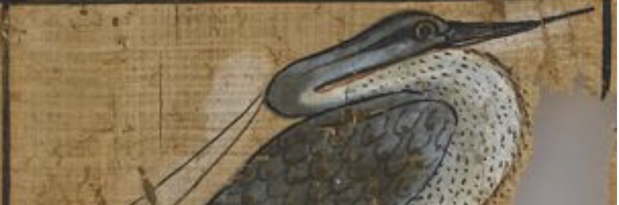hmstrudwick's profile banner image