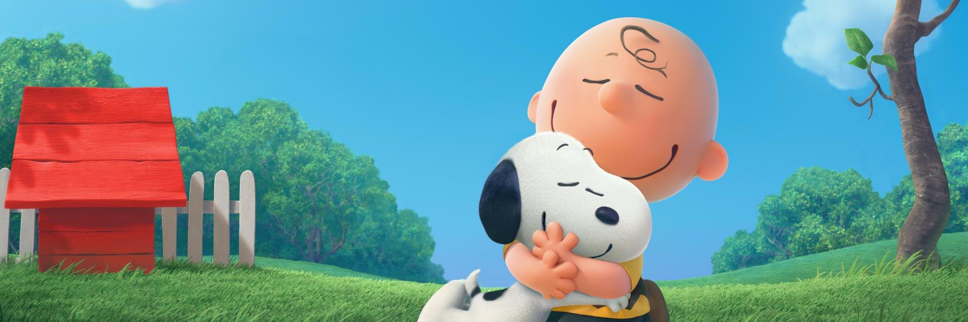 MedaMM24's profile banner image