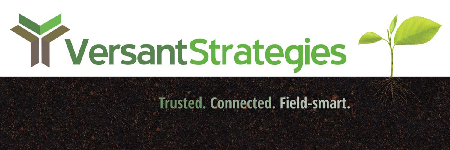 Versant Strategies banner
