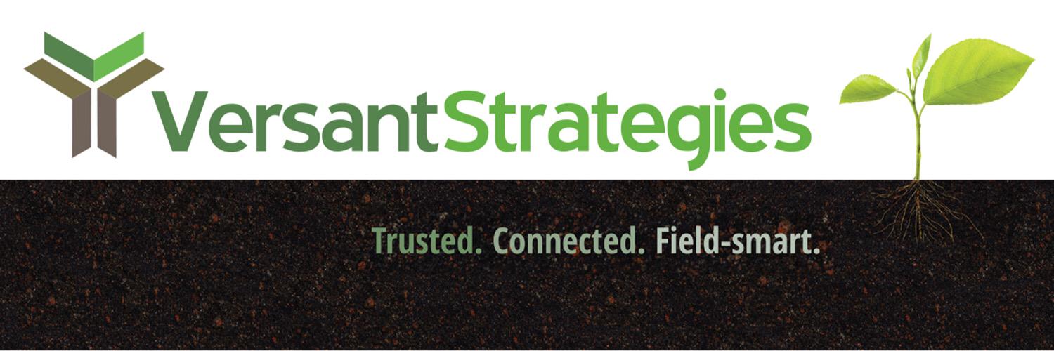 Versant Strategies Profile Banner