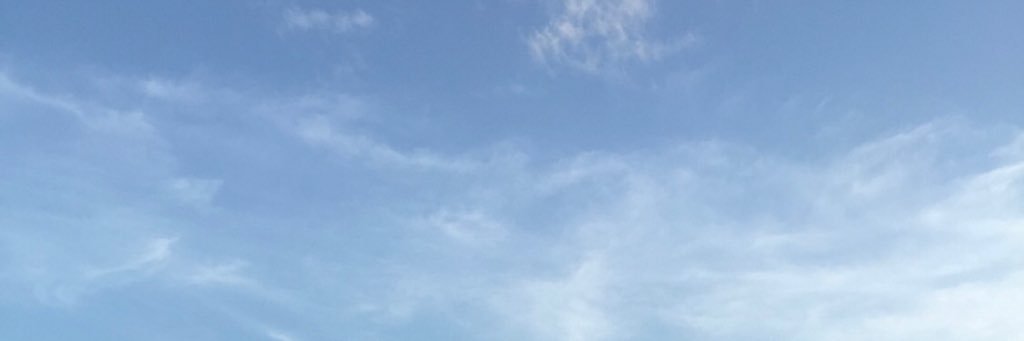 young__conserv's profile banner image