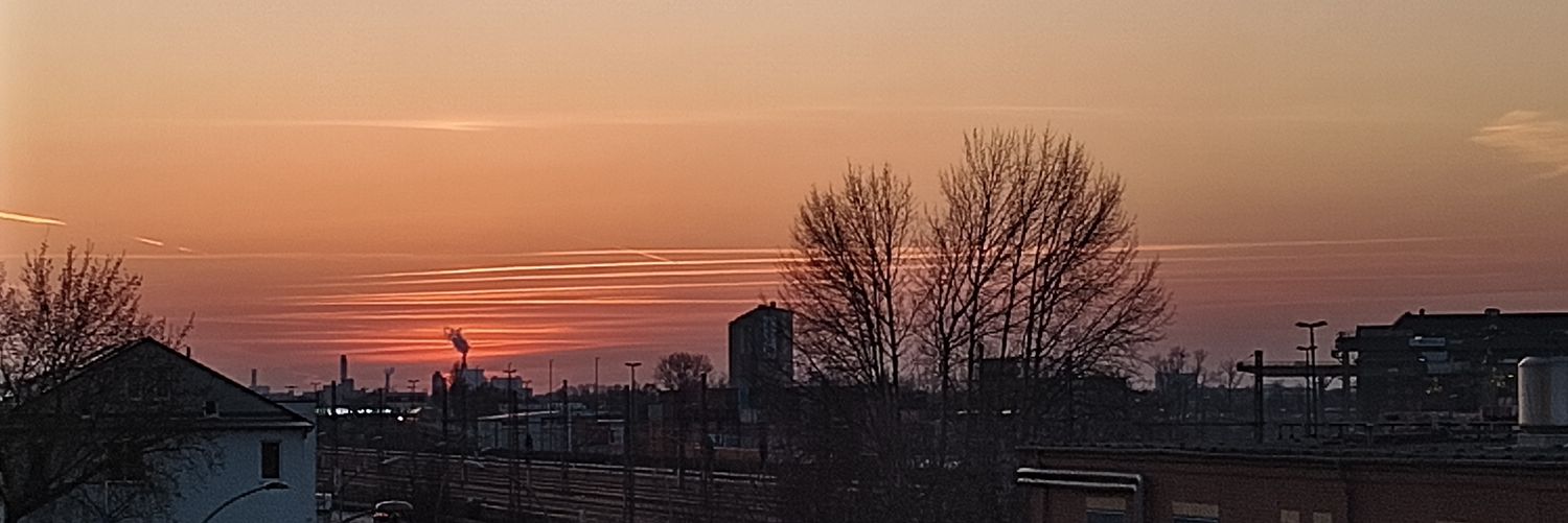 𝑻𝒐𝒎𝒎𝒀...! banner