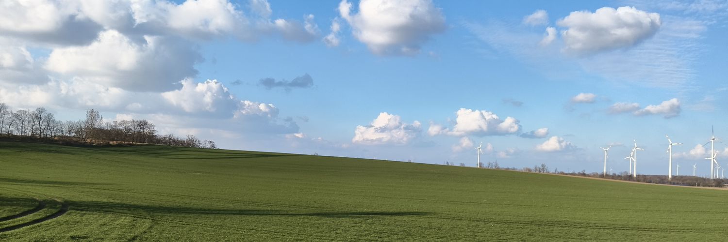 𝑻𝒐𝒎𝒎𝒀...! banner