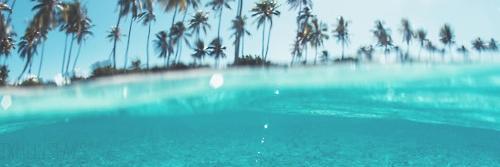 penelope_ads's profile banner image