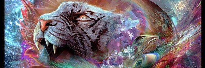 Justin Bishop banner