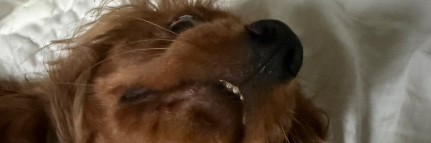 rkparkerr's profile banner image